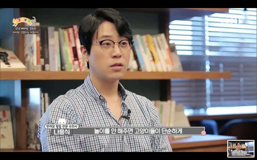 [고양이를부탁해] 고양이도 놀아줘야 할까? | 인스티즈