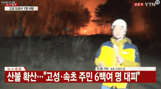 기레기들이 새로 미는 단어 | 인스티즈