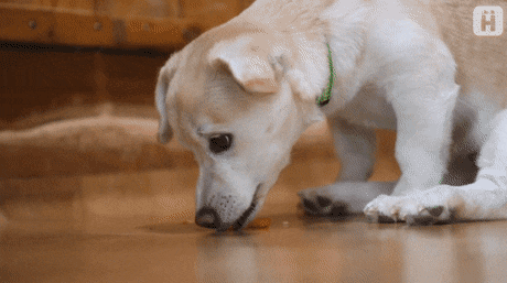 파프리카 거부하는 절미 | 인스티즈