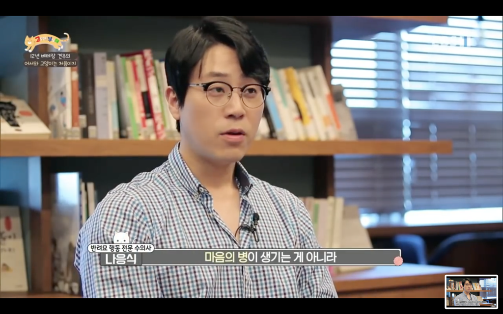 [고양이를부탁해] 고양이도 놀아줘야 할까? | 인스티즈