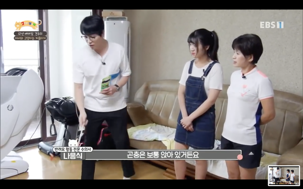 [고양이를부탁해] 고양이도 놀아줘야 할까? | 인스티즈