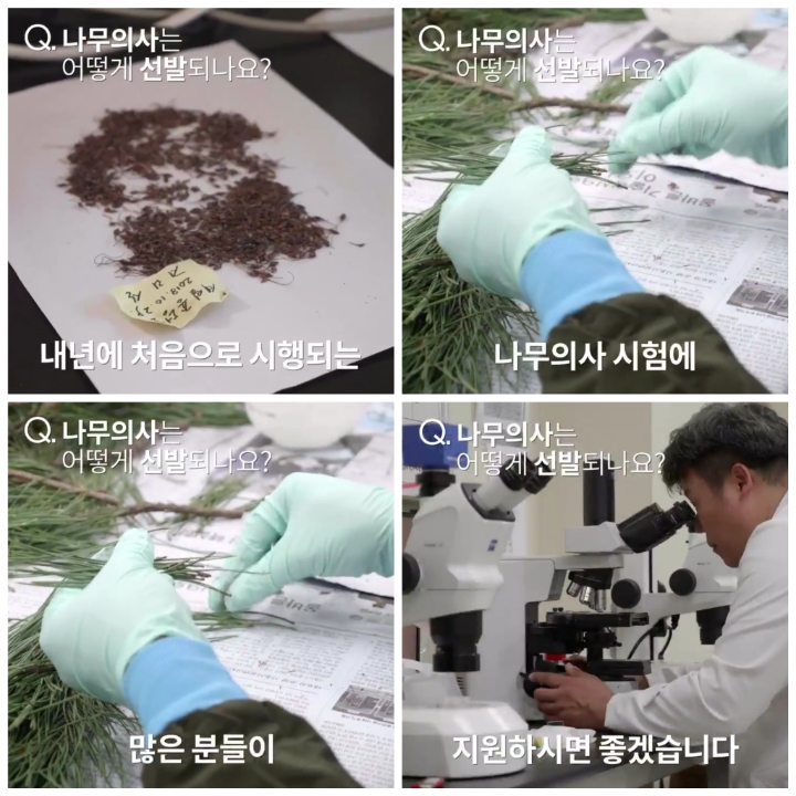 [어떤일하세요?] 나무의사 | 인스티즈