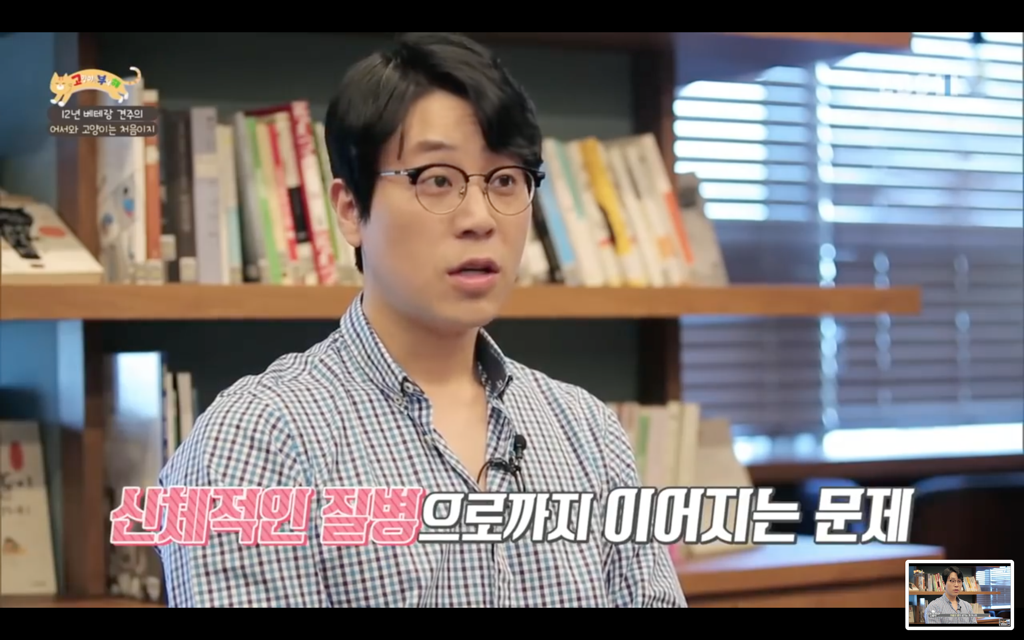 [고양이를부탁해] 고양이도 놀아줘야 할까? | 인스티즈