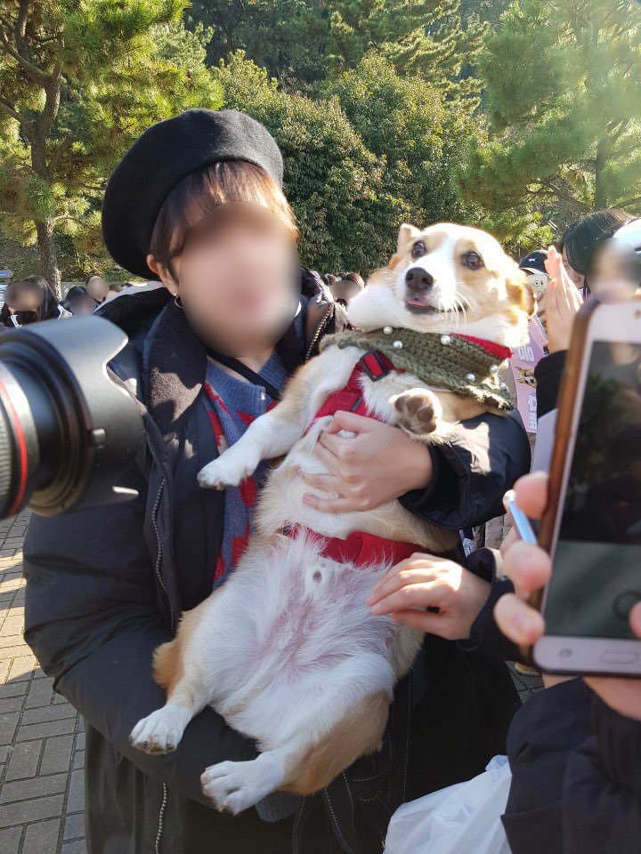 부산에서 팬미팅 한 강아지 | 인스티즈