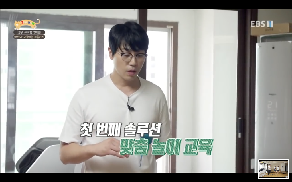 [고양이를부탁해] 고양이도 놀아줘야 할까? | 인스티즈