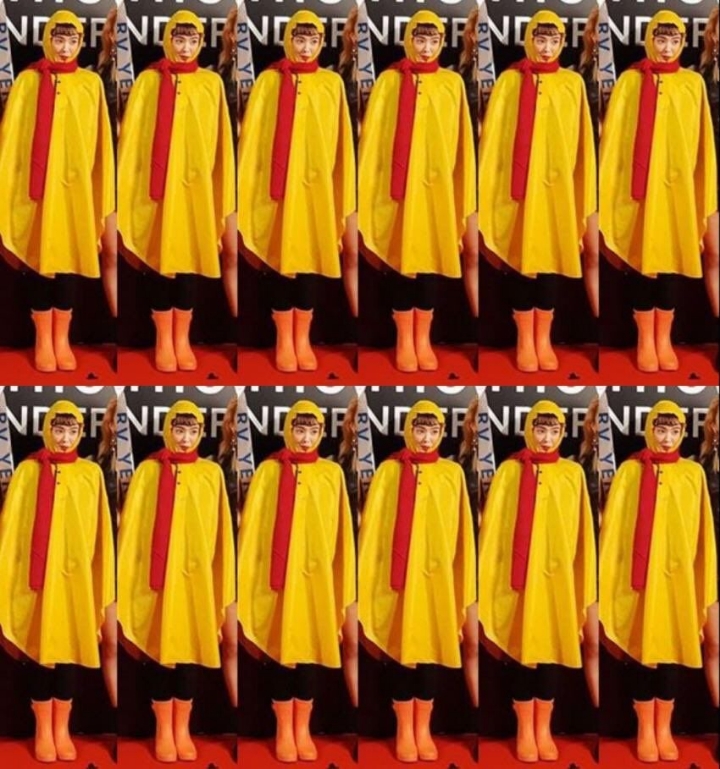 [레드벨벳] 팬들이 우비소녀를 몰라 천하장사 소세지 코스프레로 오해받은 아이린 | 인스티즈