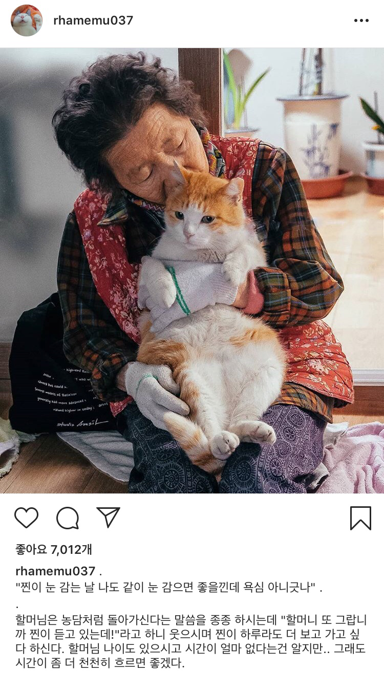 할머니와 고양이 | 인스티즈