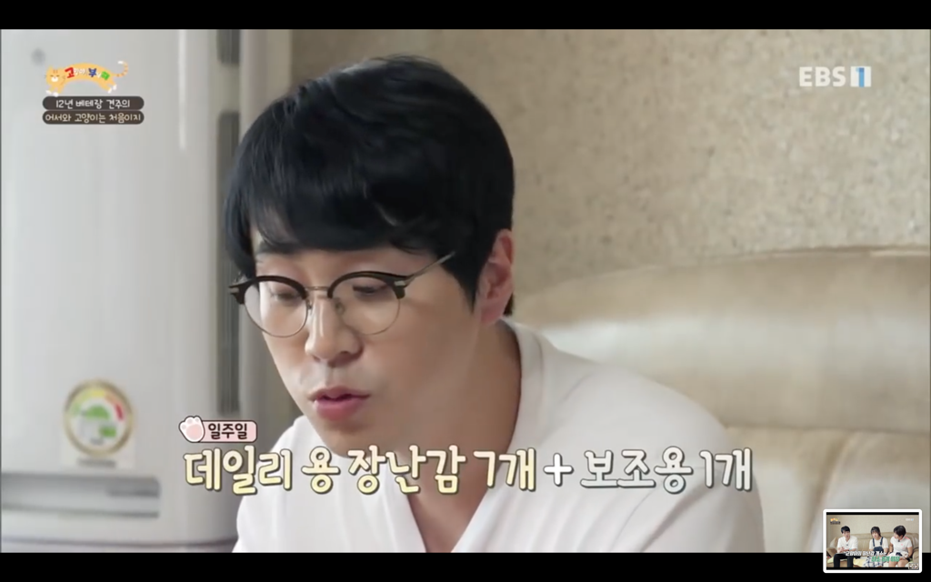 [고양이를부탁해] 고양이도 놀아줘야 할까? | 인스티즈