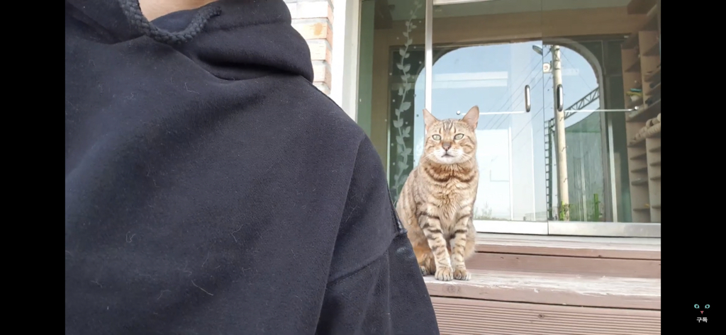 간식 먹기 전이랑 후가 너무 다른 고양이.. 냥성ㄷㄷㄷ | 인스티즈