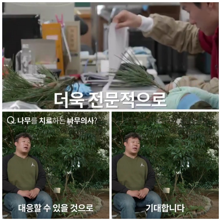 [어떤일하세요?] 나무의사 | 인스티즈