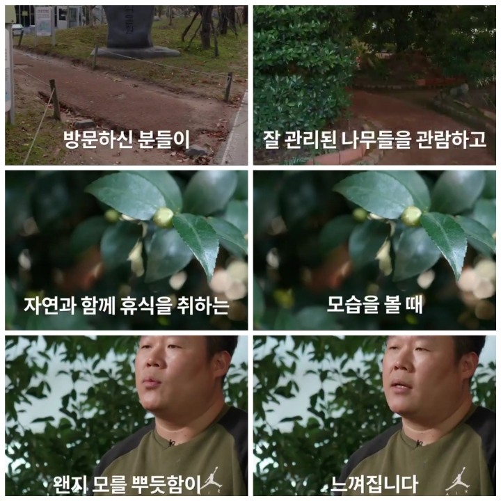 [어떤일하세요?] 나무의사 | 인스티즈