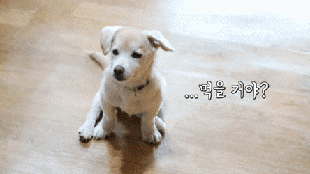 파프리카 거부하는 절미 | 인스티즈