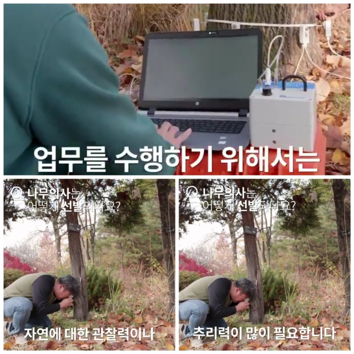[어떤일하세요?] 나무의사 | 인스티즈