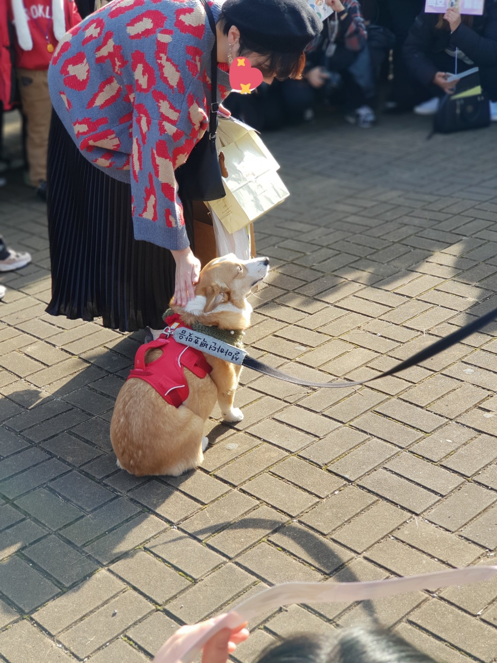 부산에서 팬미팅 한 강아지 | 인스티즈
