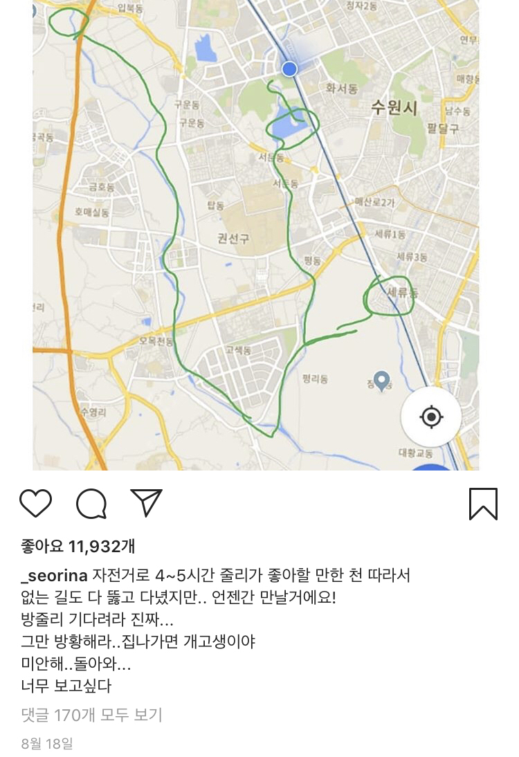 13일만에 잃어버린 반려견 다시 찾은 설인아.jpg | 인스티즈