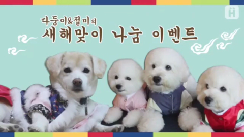 [인절미] [짱절미] 한복 입은 절미 | 인스티즈
