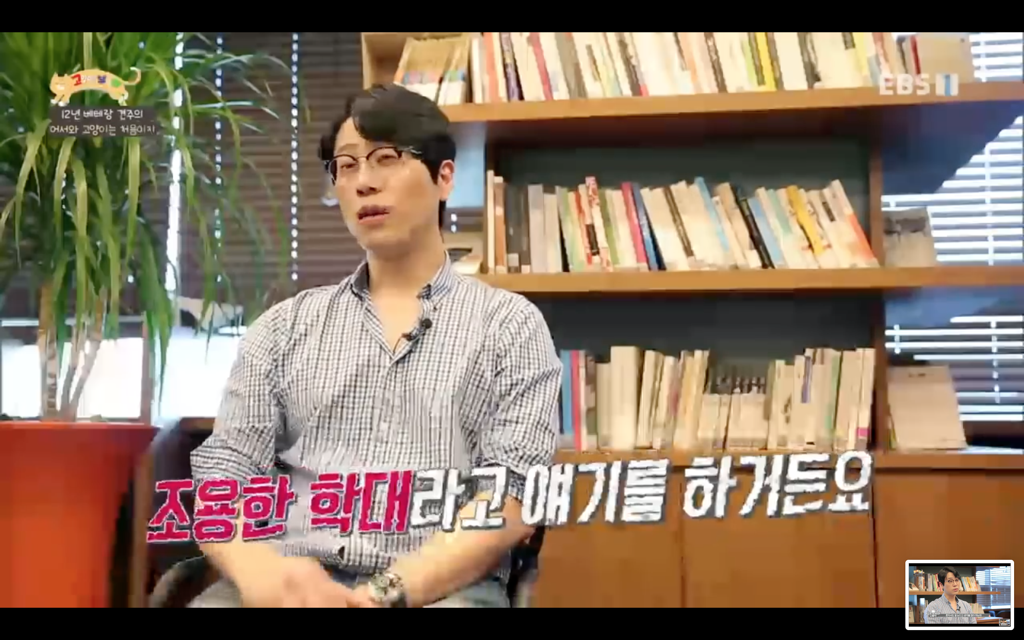 [고양이를부탁해] 고양이도 놀아줘야 할까? | 인스티즈