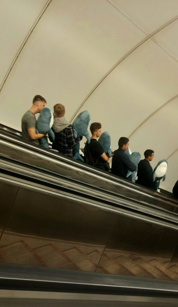 이케아 인기템 상어 인형 | 인스티즈