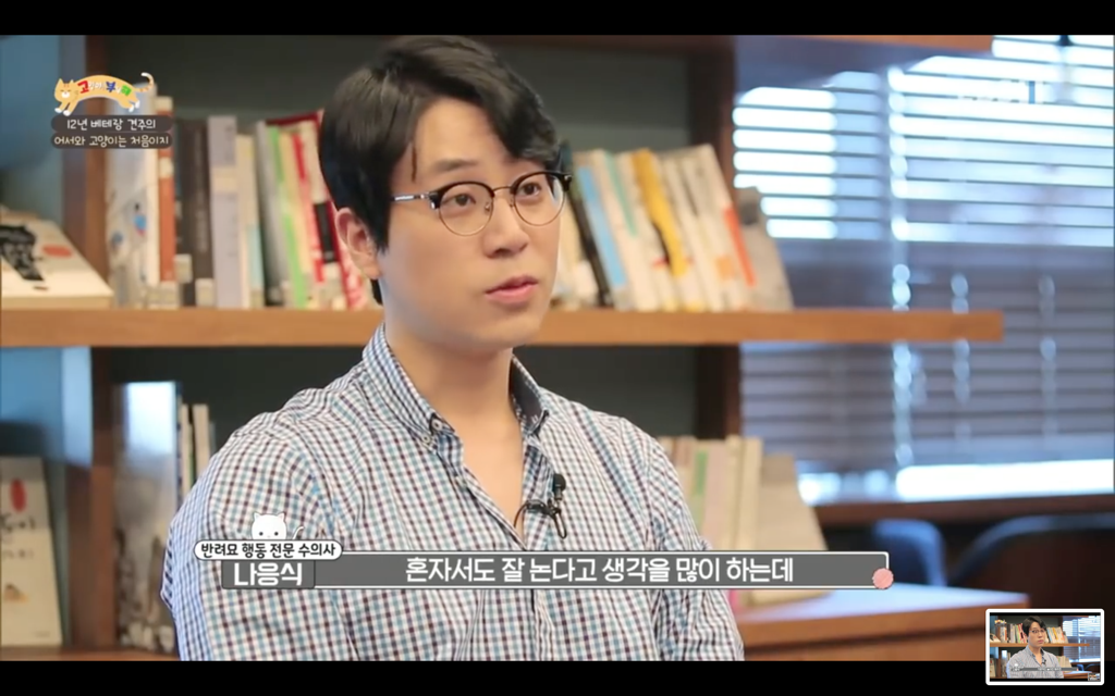 [고양이를부탁해] 고양이도 놀아줘야 할까? | 인스티즈