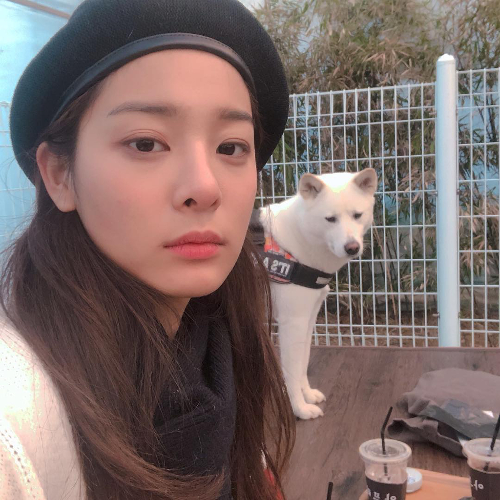 13일만에 잃어버린 반려견 다시 찾은 설인아.jpg | 인스티즈