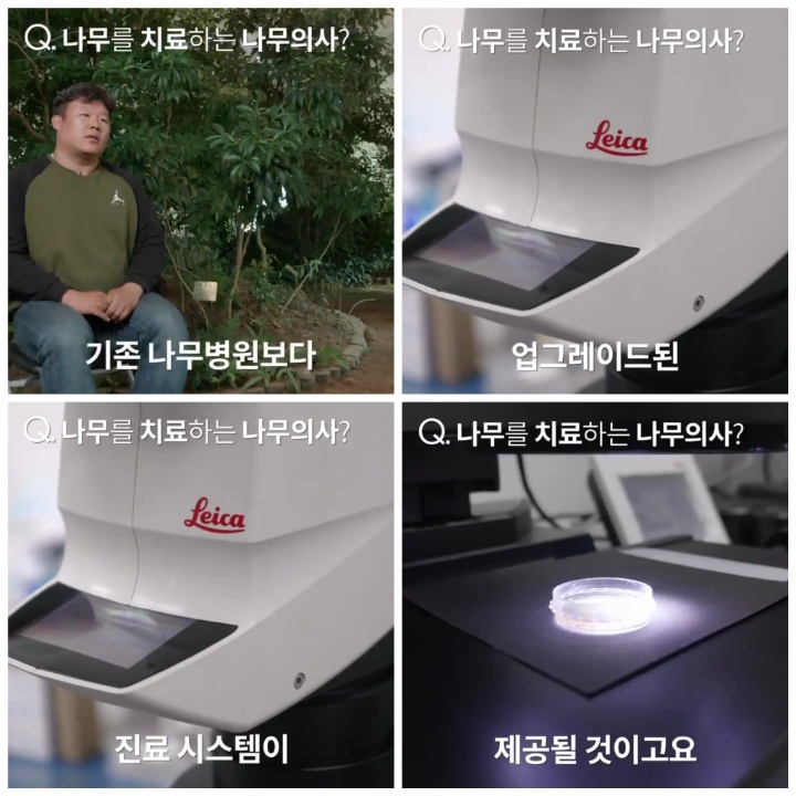 [어떤일하세요?] 나무의사 | 인스티즈