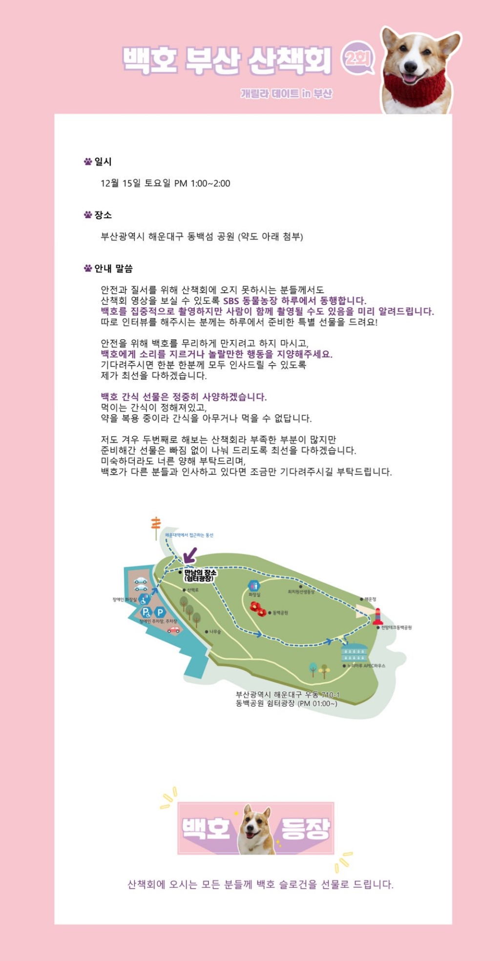 부산에서 팬미팅 한 강아지 | 인스티즈