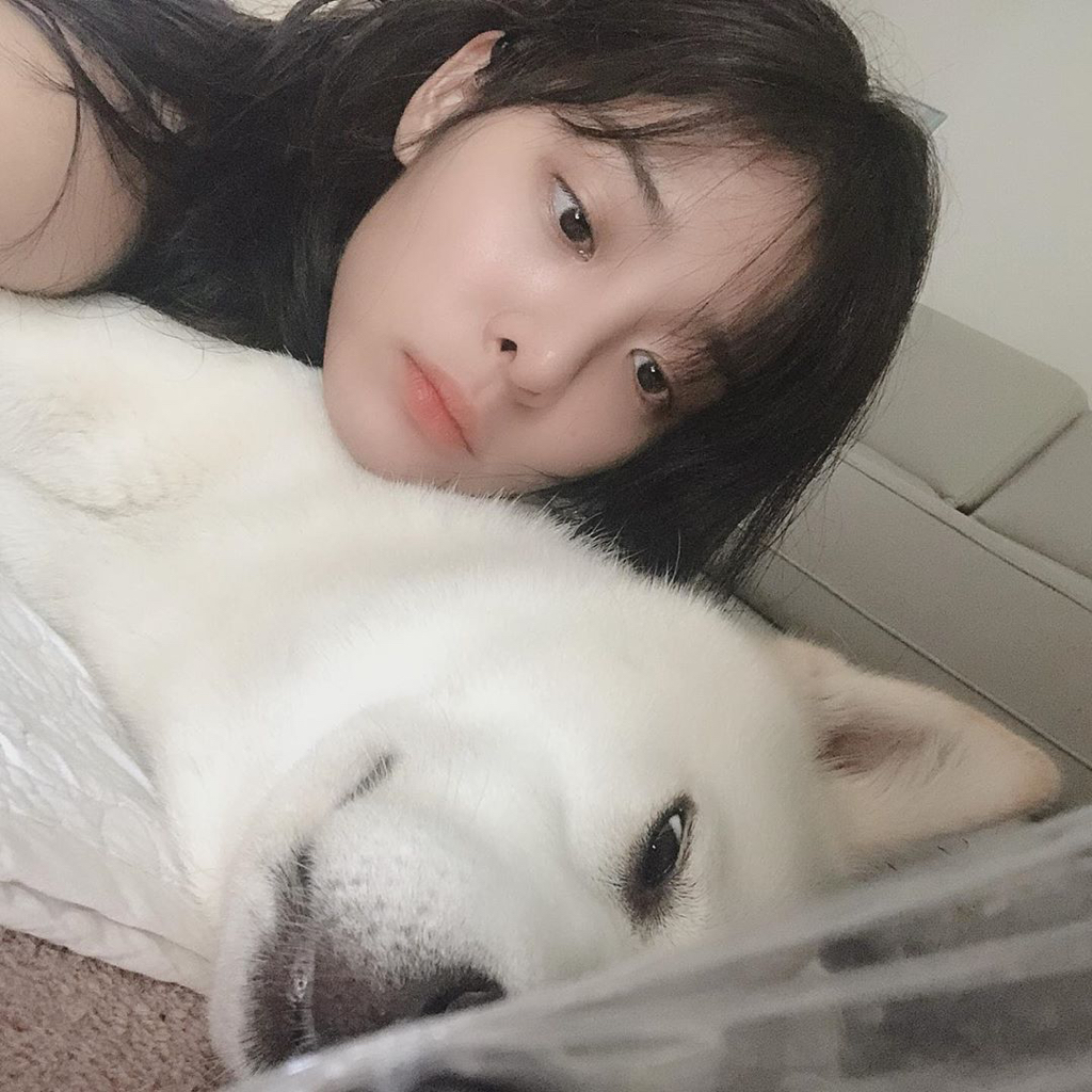 13일만에 잃어버린 반려견 다시 찾은 설인아.jpg | 인스티즈