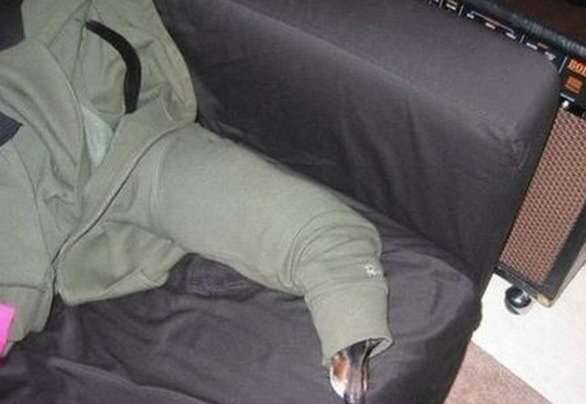 숨바꼭질 하는 댕댕이들.jpg | 인스티즈