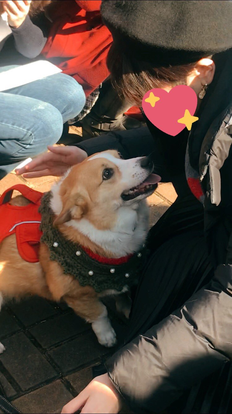 부산에서 팬미팅 한 강아지 | 인스티즈
