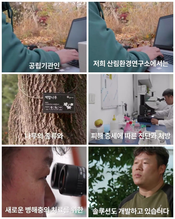 [어떤일하세요?] 나무의사 | 인스티즈