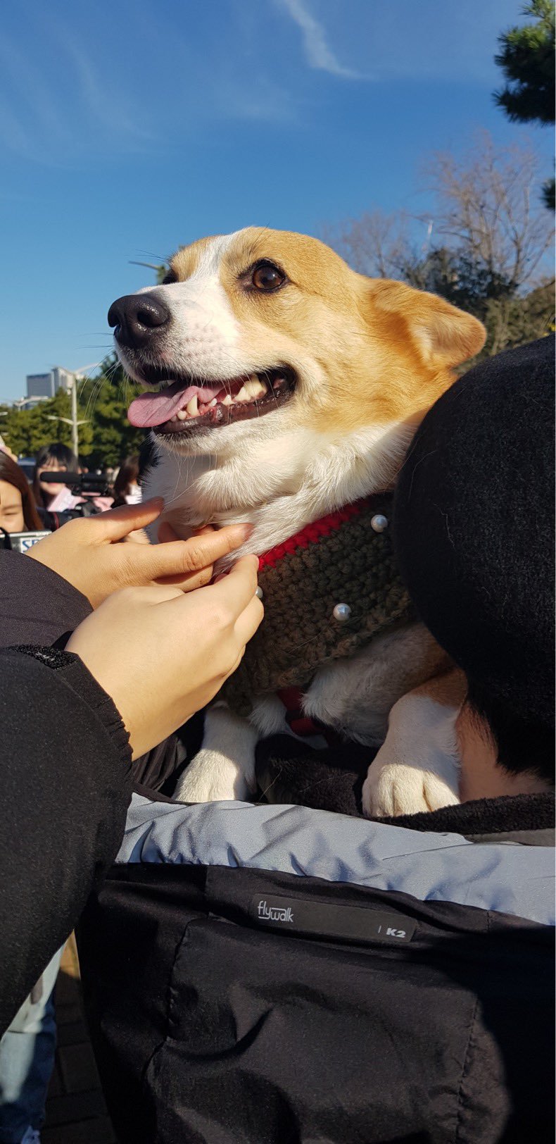 부산에서 팬미팅 한 강아지 | 인스티즈