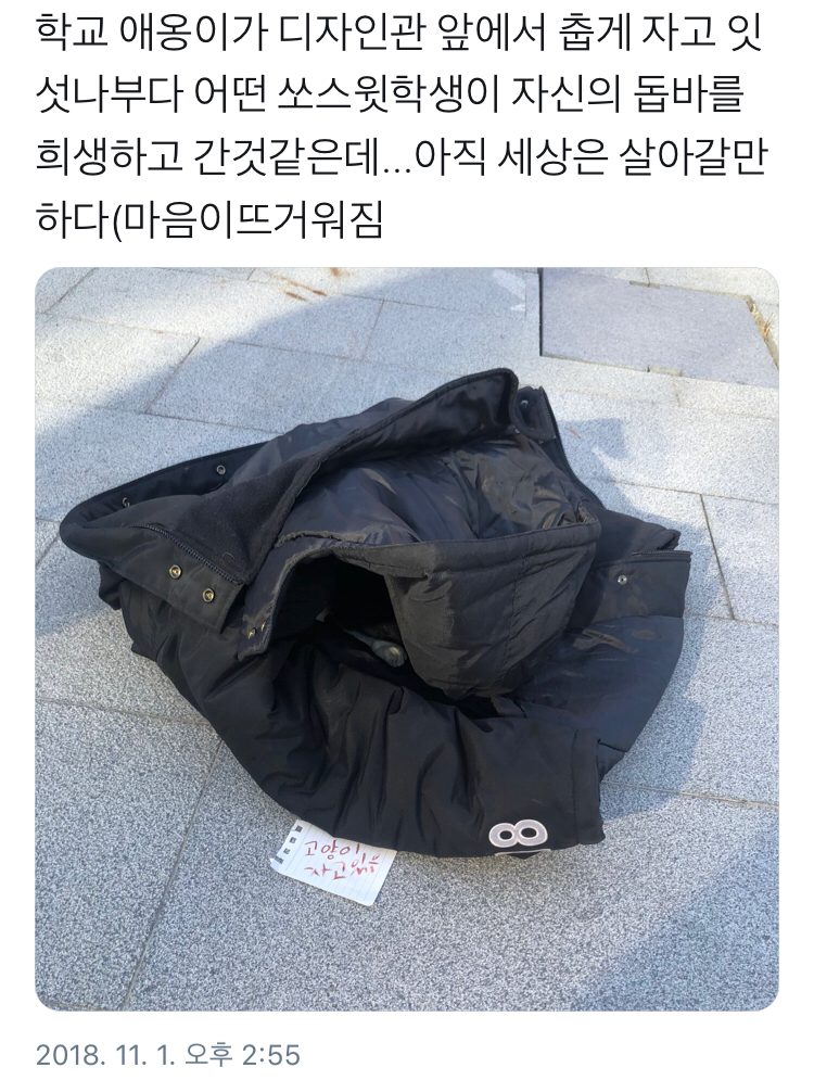 길고양이한테 겉옷 벗어줌 | 인스티즈