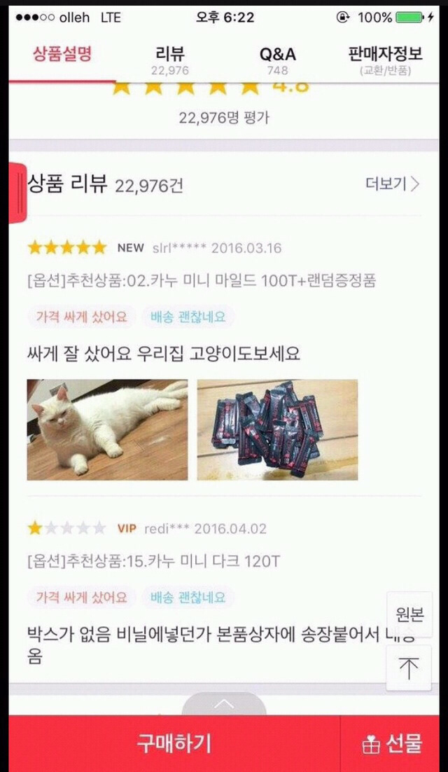 우리집 고양이도 보세요 | 인스티즈