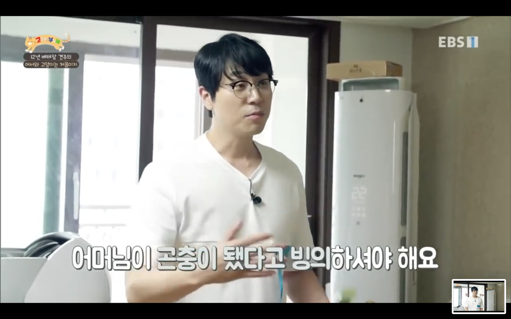 [고양이를부탁해] 고양이도 놀아줘야 할까? | 인스티즈
