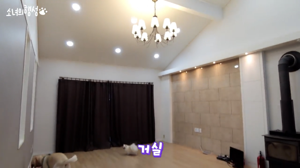 [소녀의행성] 랜선 집들이 | 인스티즈
