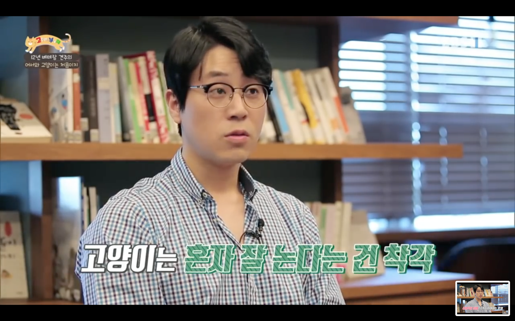 [고양이를부탁해] 고양이도 놀아줘야 할까? | 인스티즈