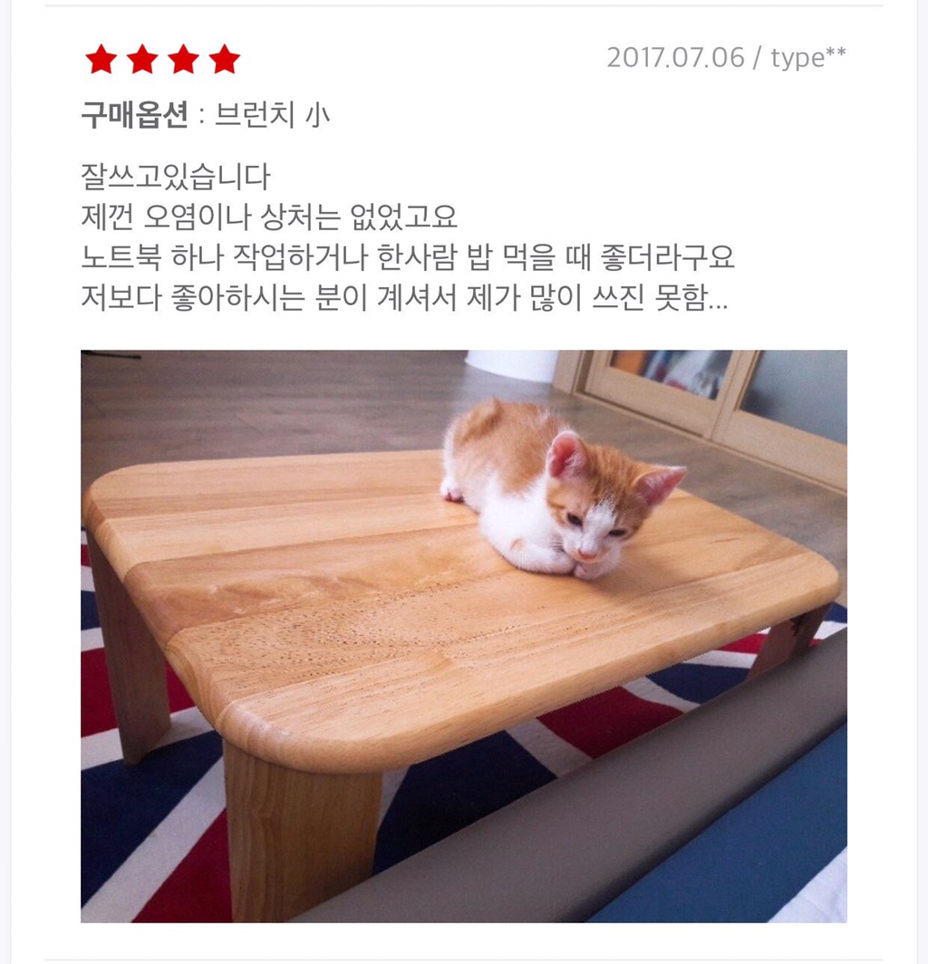 우리집 고양이도 보세요 | 인스티즈