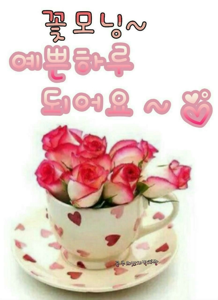 사오기 이미지