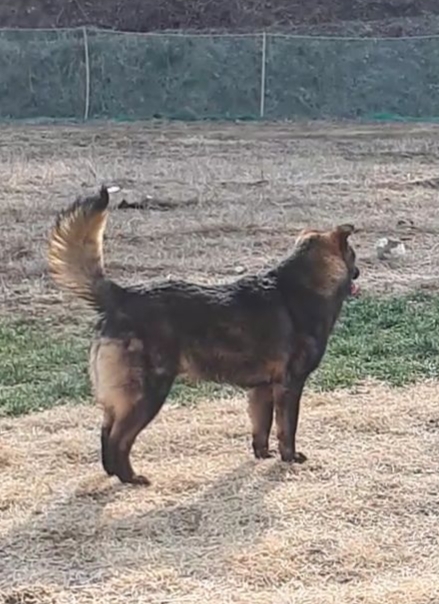 강담 이미지