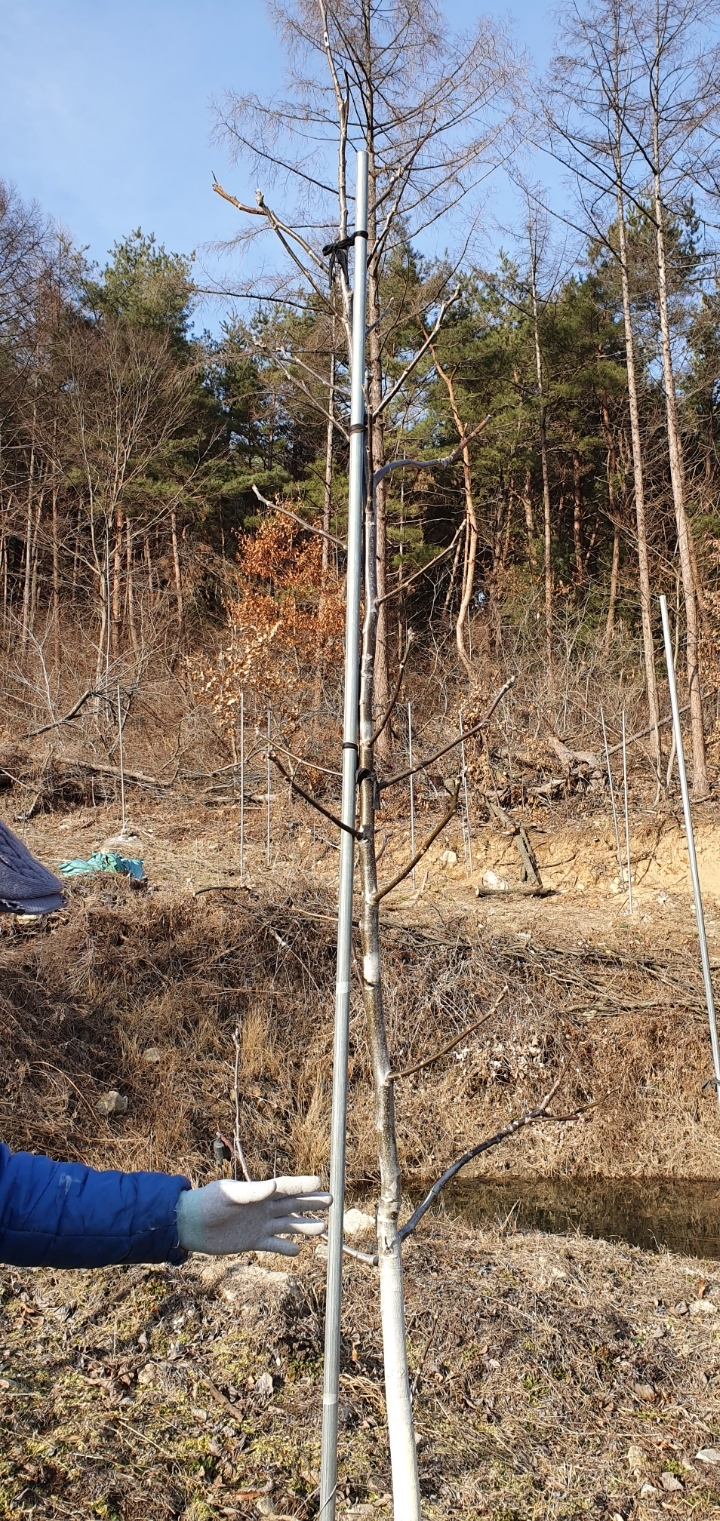 동산농장 이미지