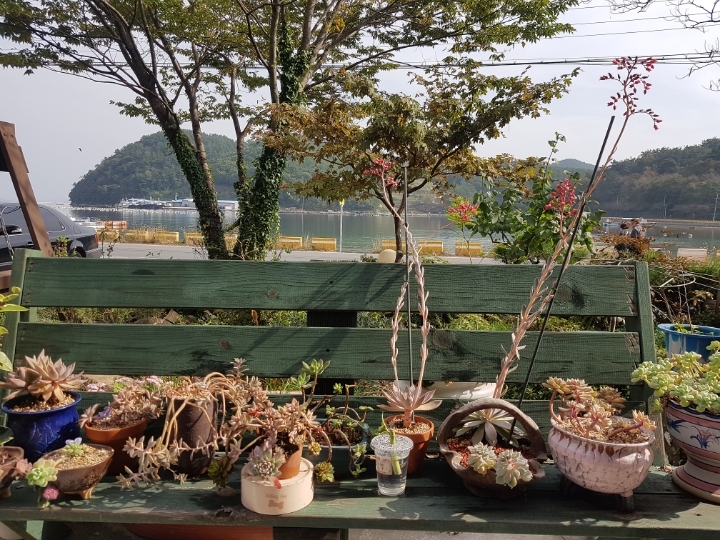 바다마루 이미지