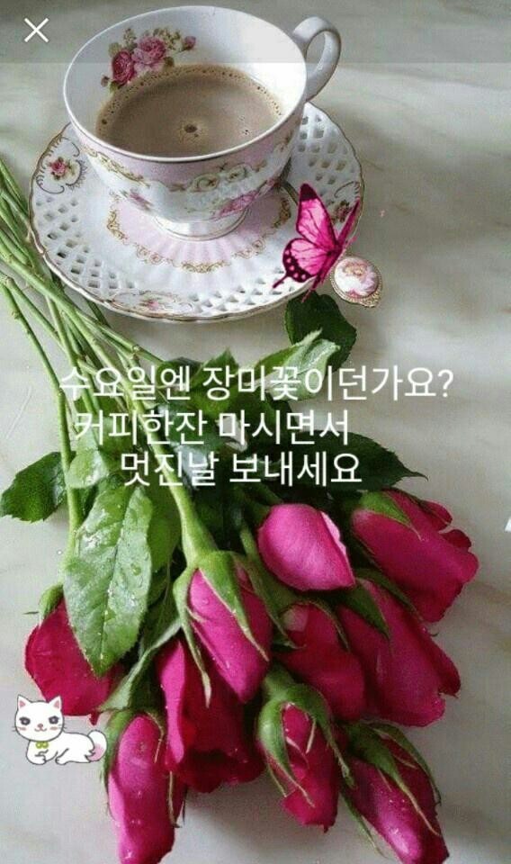 즐거운하루 이미지