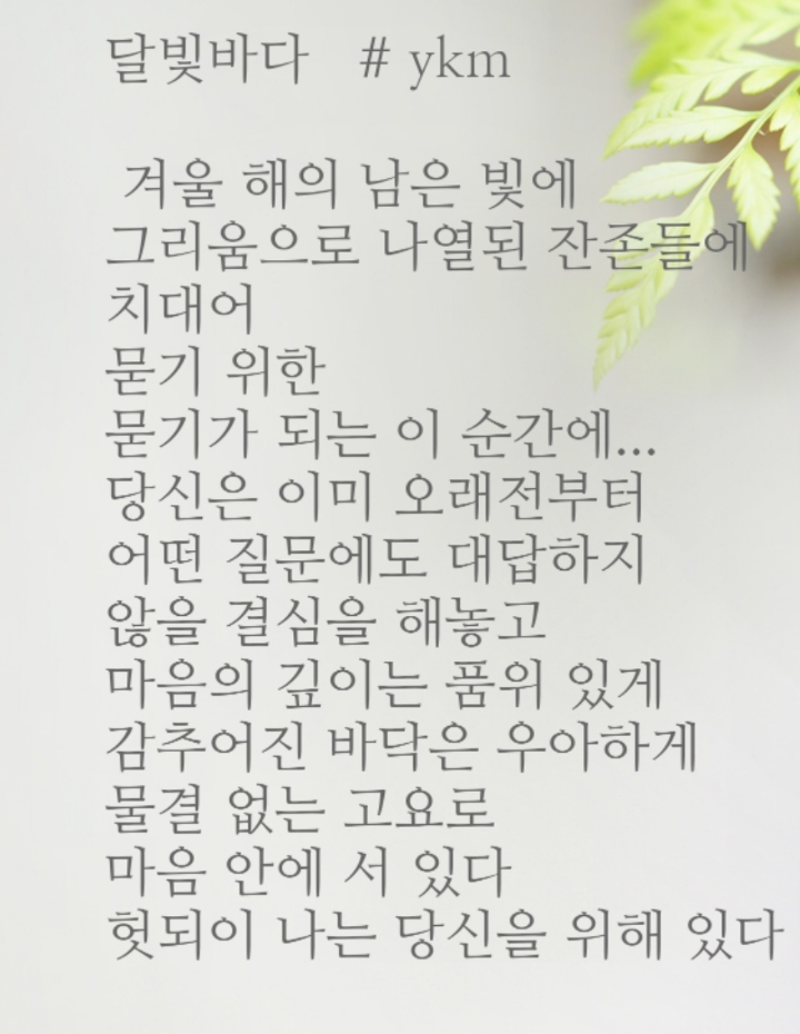달빛바다 이미지