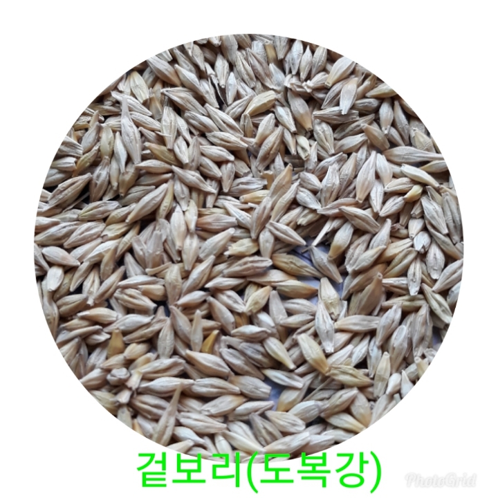 참밀 이미지