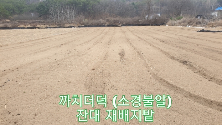 로타리슈퍼 이미지