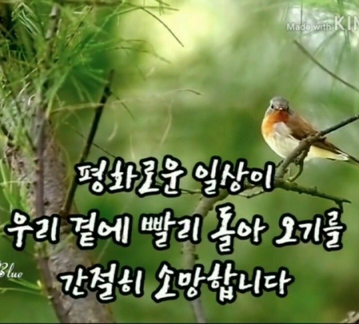 평화 이미지