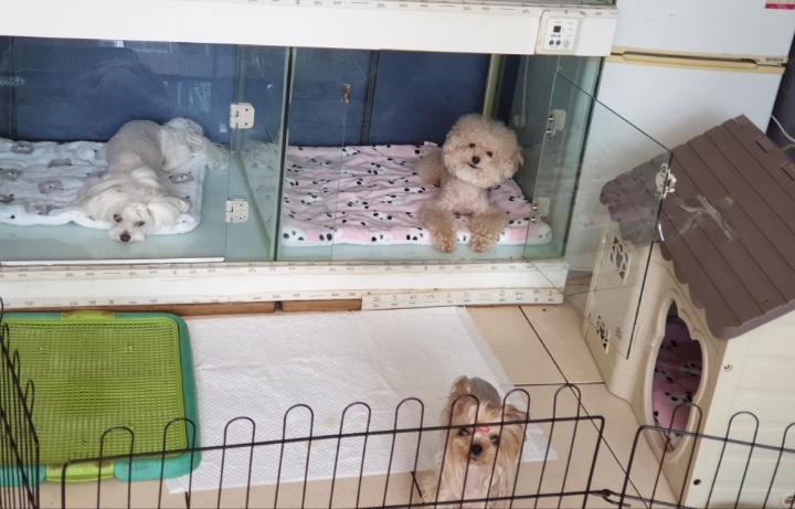 라임호텔 이미지