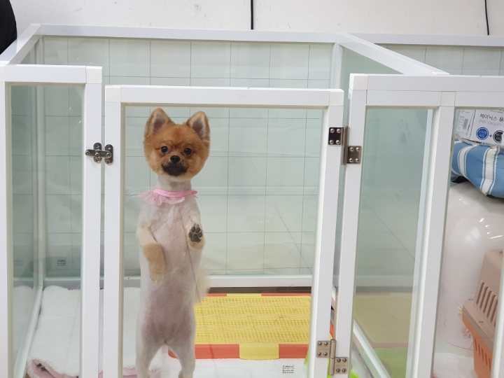 미용천재 이미지