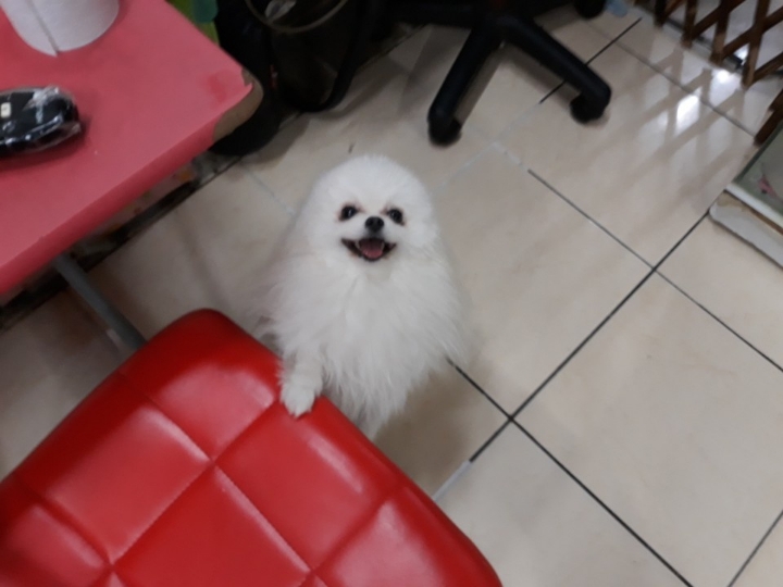 호텔루이 이미지