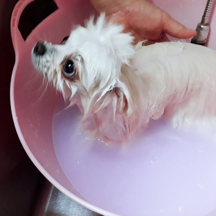 호텔루이 이미지